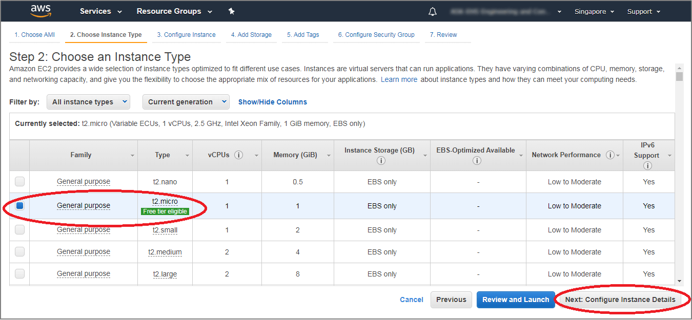 AWS selects the default micro instance