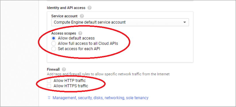 Select if you need API access and Firewall exceptions-Google Cloud